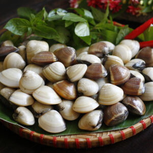 Ngao / nghêu sạch đã ngâm xả cát