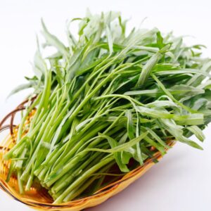 Rau muống trồng đất sạch