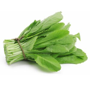 Rau cải xanh canh tác hữu cơ